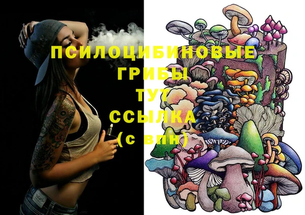 герыч Горняк